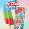 Summun 3 MIX La Montevideana 24u x 68g
